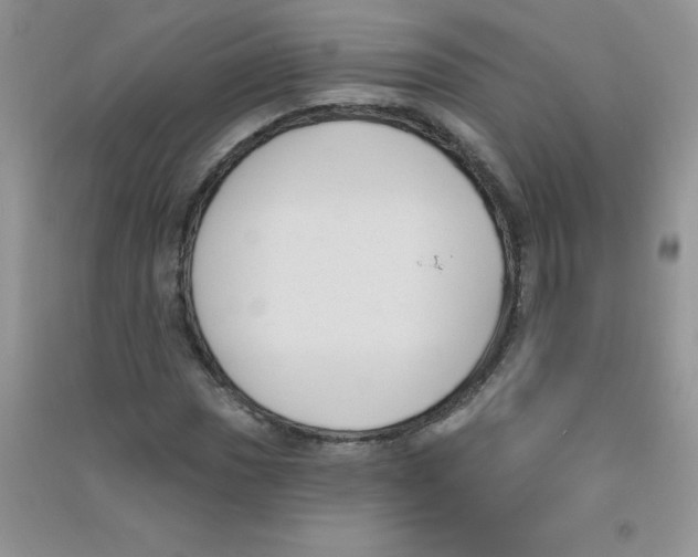 X0000090711017200708171902