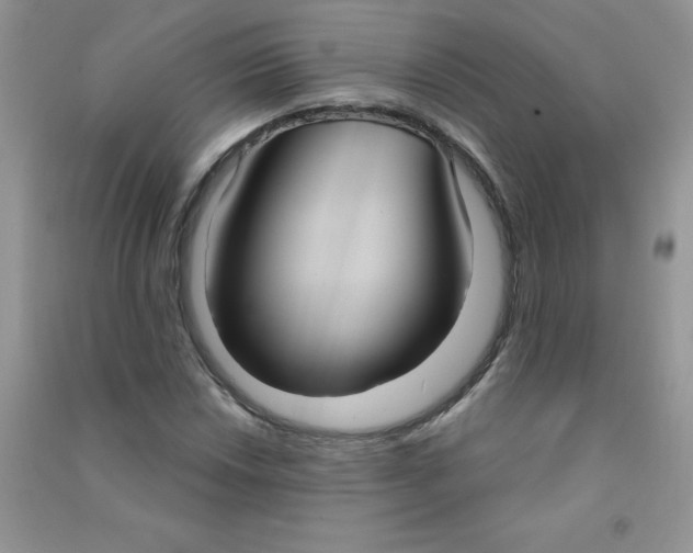 X0000090711018200708171902