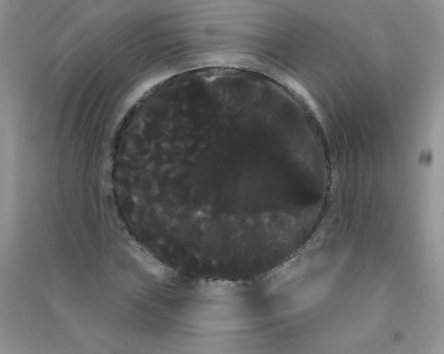 X0000090711019200708171902