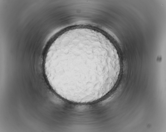 X0000090711021200708171902