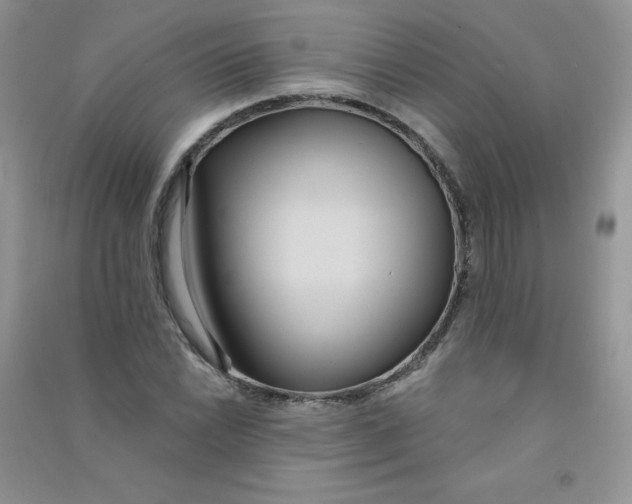 X0000090711022200708171902