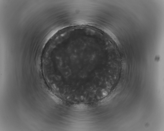 X0000090711023200708171902