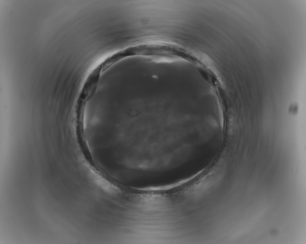 X0000090711024200708171902