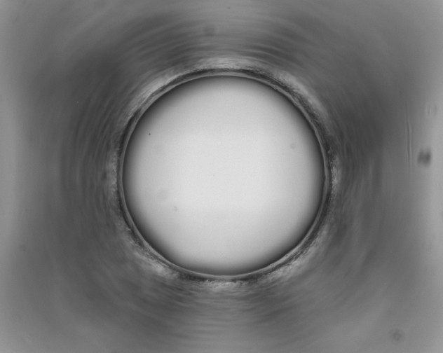 X0000090711025200708171902