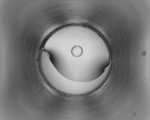 X0000090711026200708171902