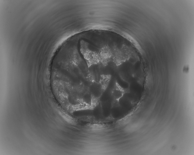 X0000090711027200708171902