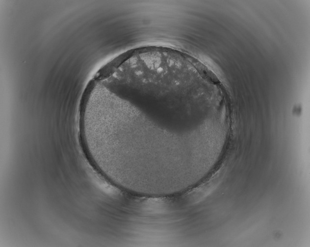 X0000090711028200708171902