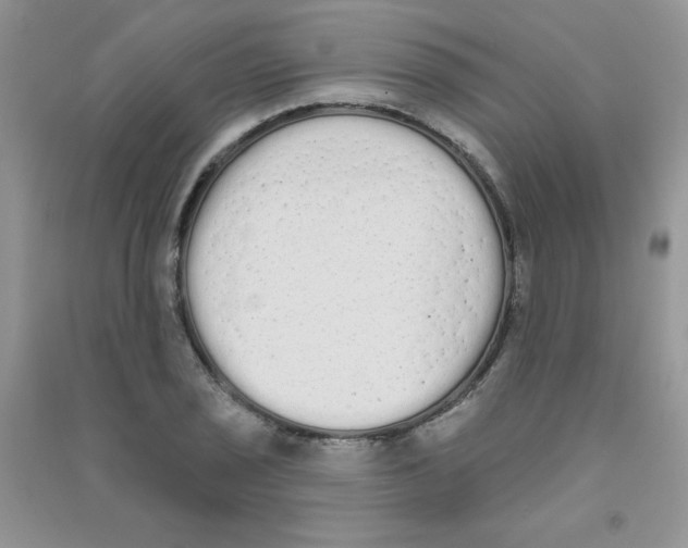 X0000090711029200708171902