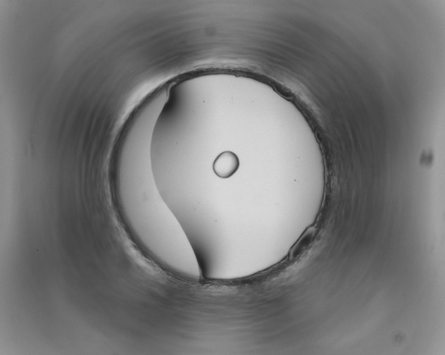 X0000090711030200708171902