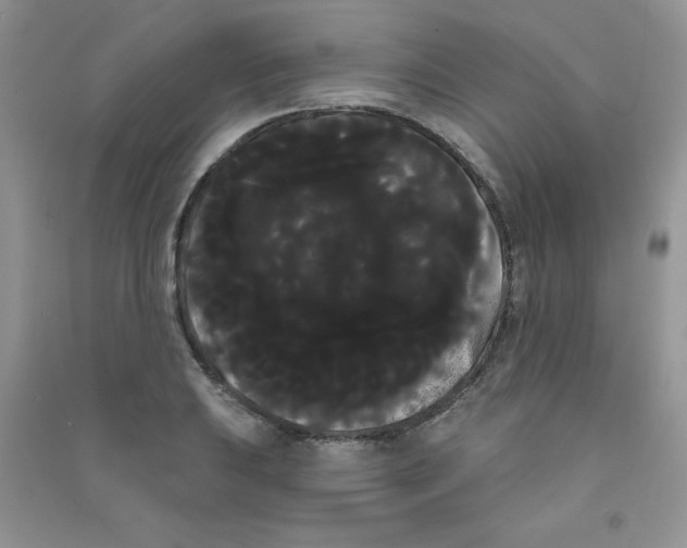 X0000090711031200708171902