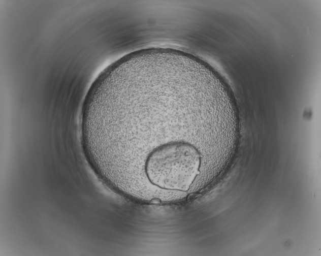 X0000090711032200708171902