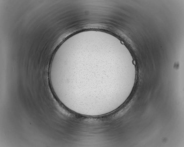 X0000090711033200708171902