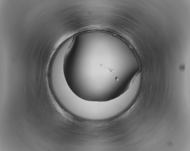 X0000090711034200708171902