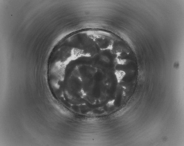 X0000090711035200708171902