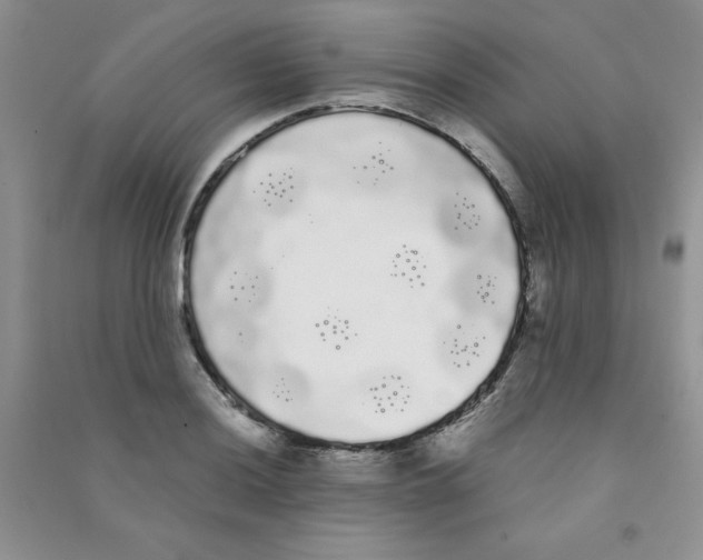 X0000090711036200708171902