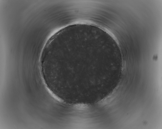 X0000090711037200708171902