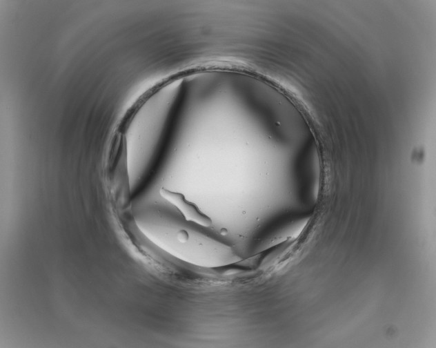 X0000090711038200708171902