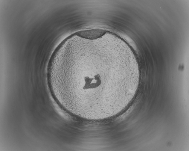 X0000090711039200708171902