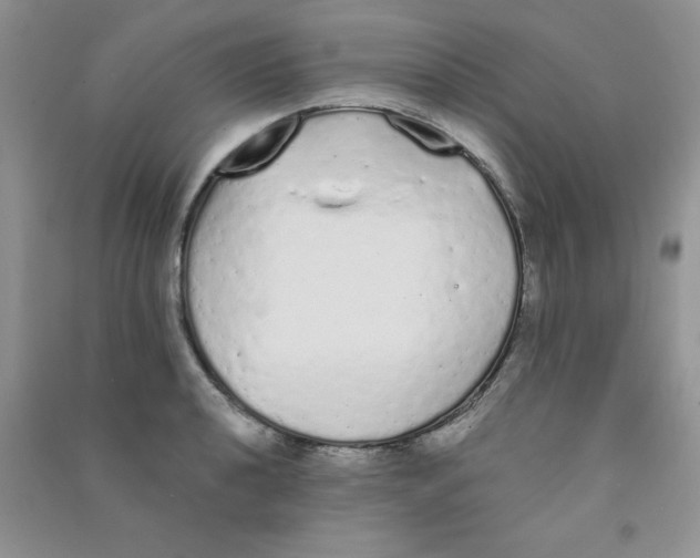 X0000090711040200708171902