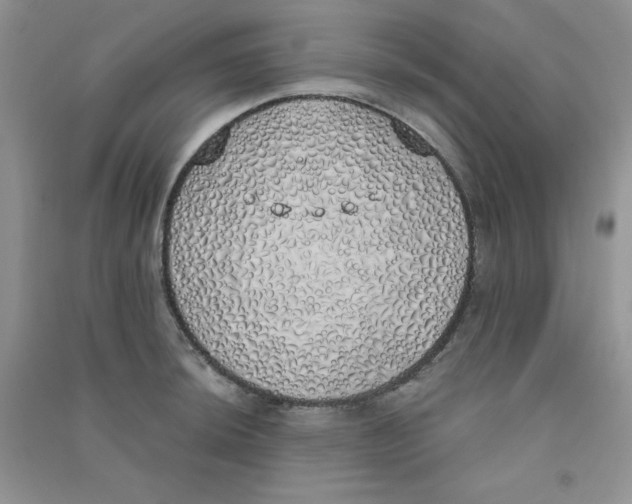 X0000090711044200708171902