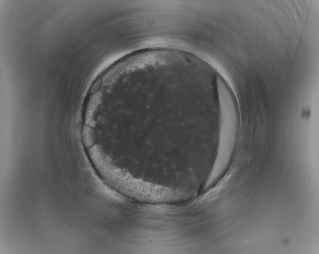 X0000090711045200708171902