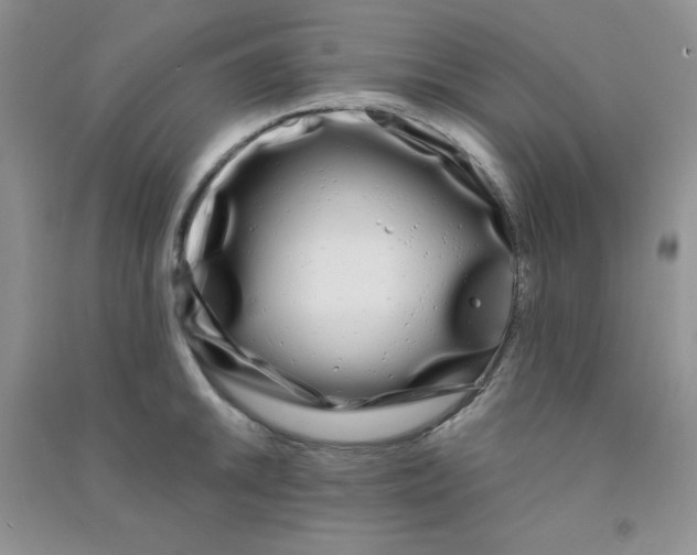 X0000090711046200708171902