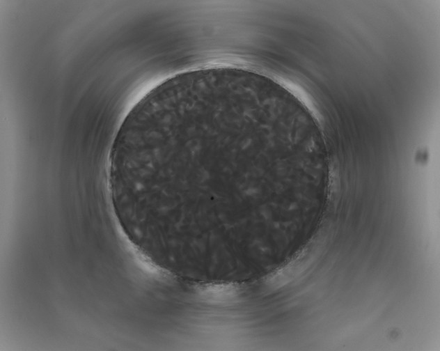 X0000090711047200708171902