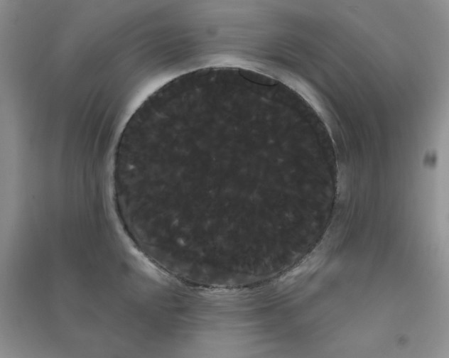 X0000090711048200708171902