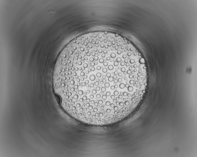 X0000090711049200708171902