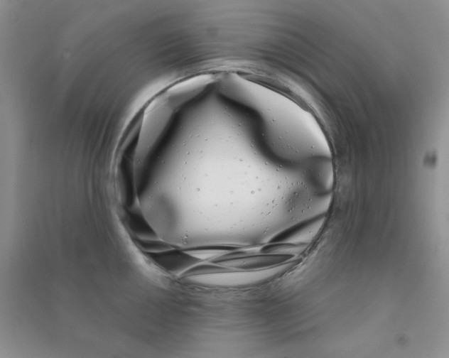 X0000090711050200708171902