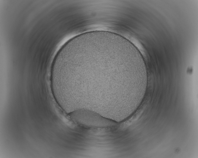 X0000090711051200708171902