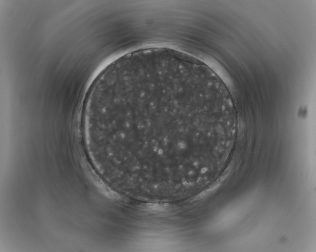 X0000090711052200708171902