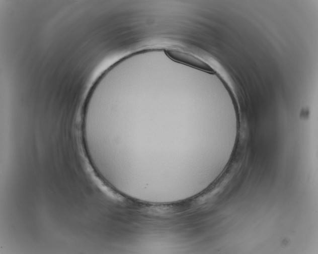 X0000090711053200708171902