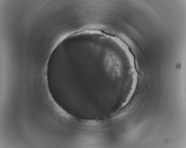 X0000090711055200708171902