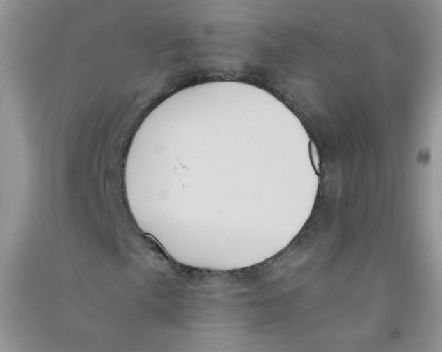 X0000090711057200708171902