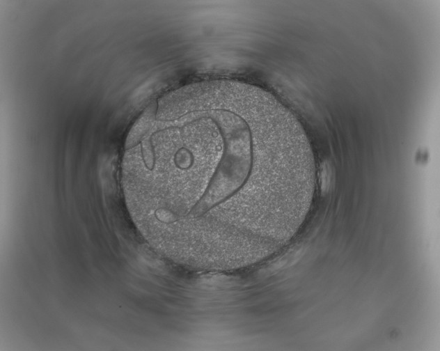 X0000090711059200708171902