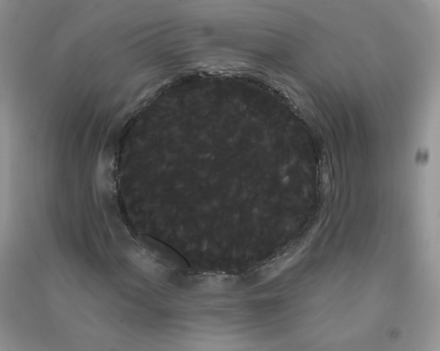 X0000090711060200708171902