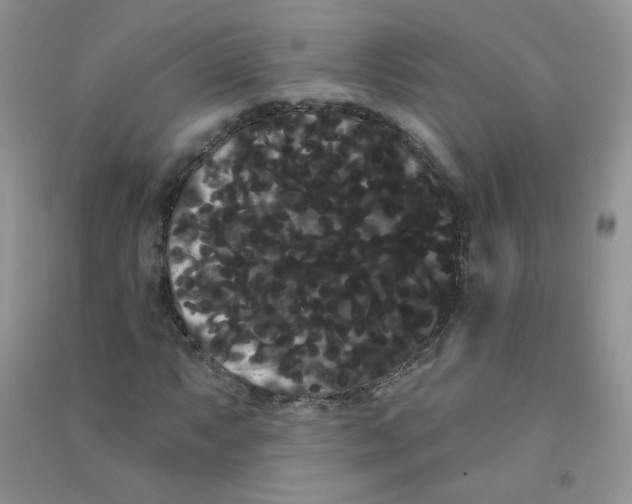 X0000090711063200708171902