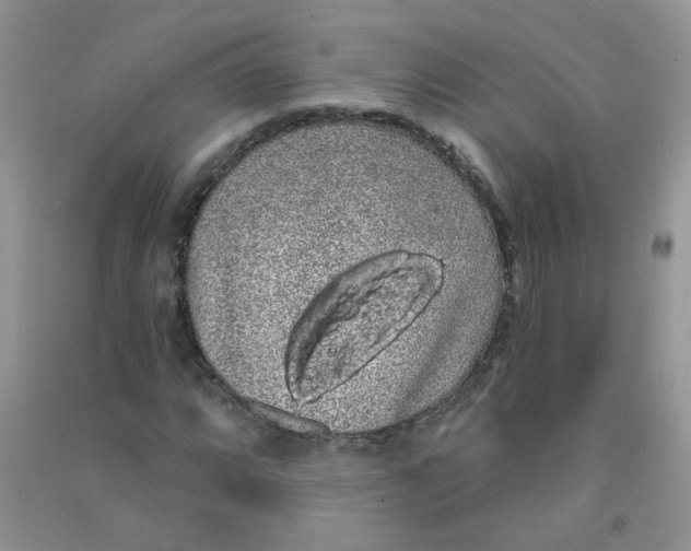 X0000090711064200708171902