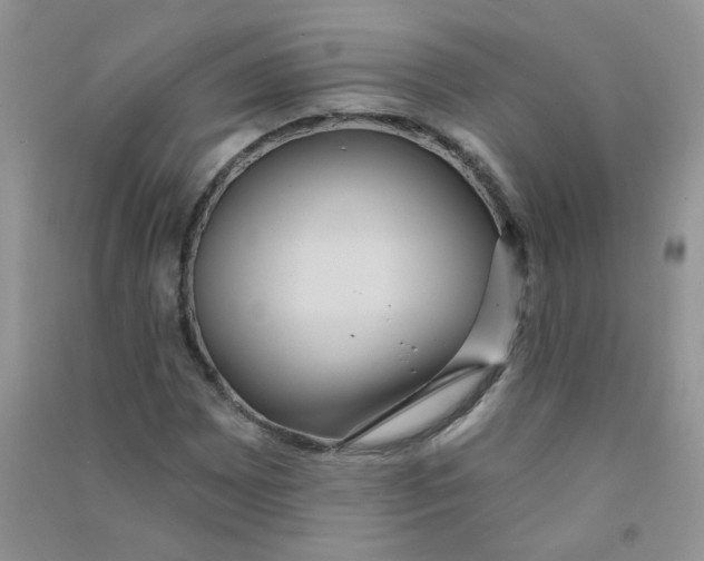 X0000090711065200708171902