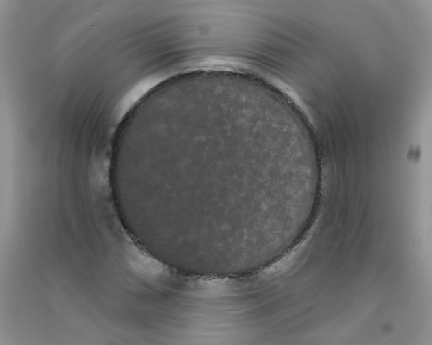 X0000090711066200708171902