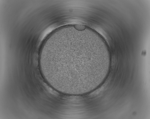 X0000090711067200708171902