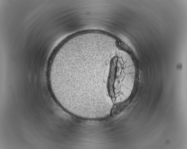 X0000090711068200708171902