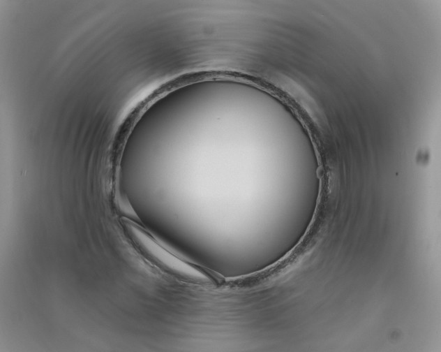 X0000090711069200708171902