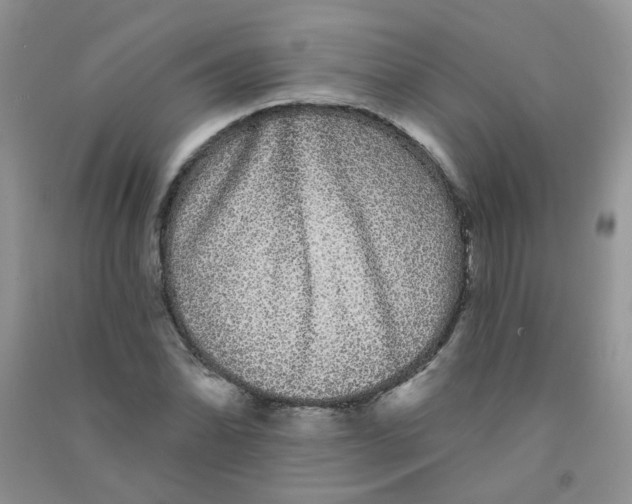 X0000090711070200708171902