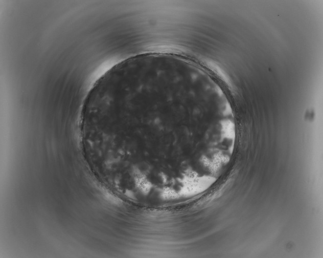 X0000090711071200708171902