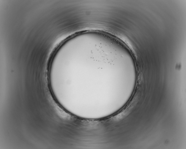 X0000090711072200708171902