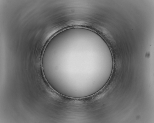 X0000090711073200708171902