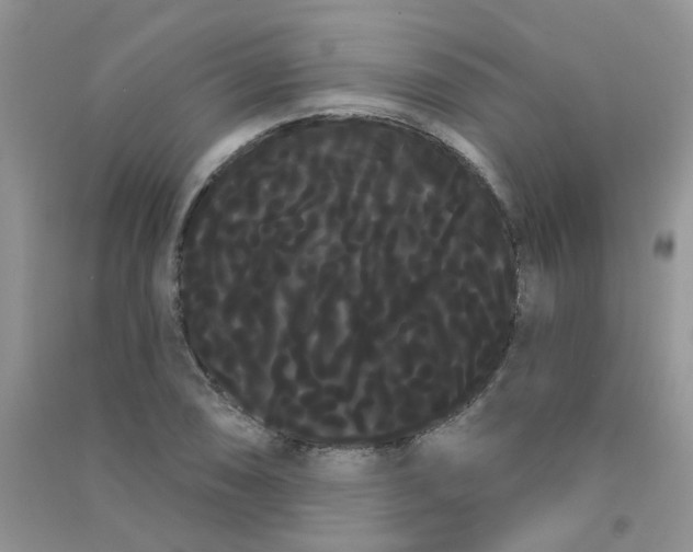 X0000090711074200708171902