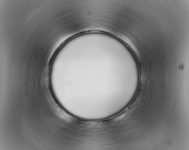 X0000090711076200708171902